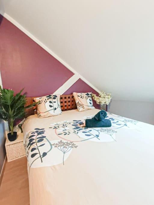 פאו Cosy Pyrenees - 2Ch - Vue Sur Le Chateau & Garage מראה חיצוני תמונה