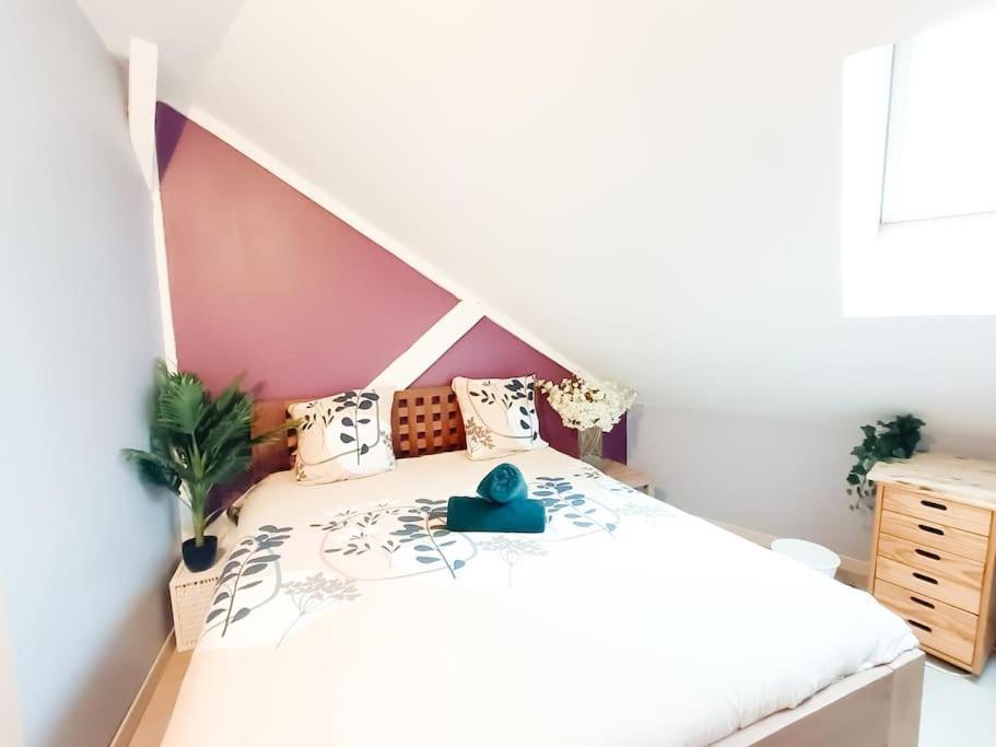 פאו Cosy Pyrenees - 2Ch - Vue Sur Le Chateau & Garage מראה חיצוני תמונה